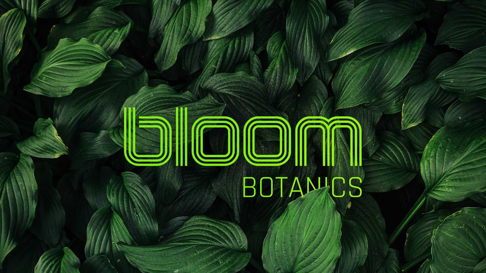 Bloom Botanics Brand Identity Presentation 14 | WowMakers