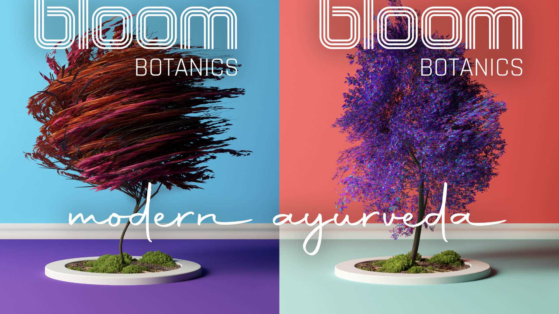 Bloom Botanics Brand Identity Presentation 16 | WowMakers