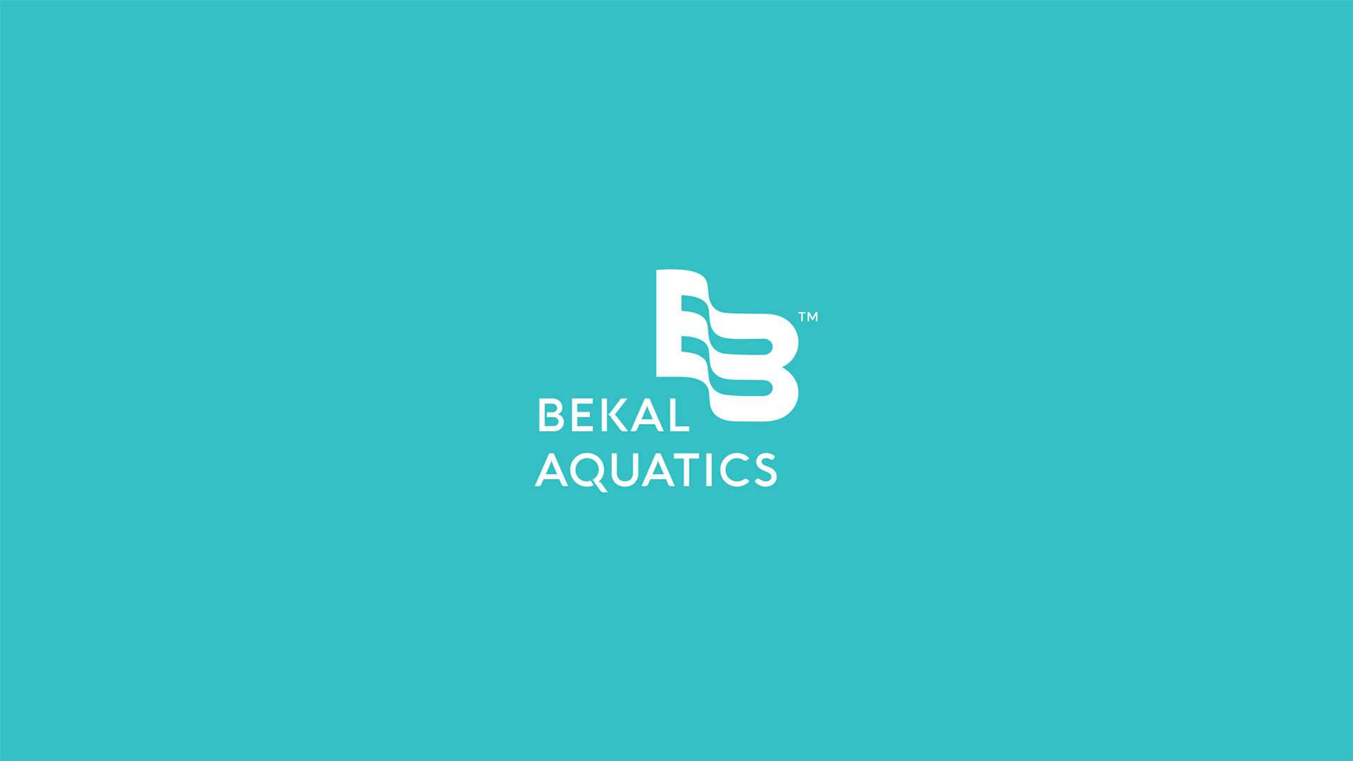 Bekal Aquatics Brand Identity Presentation 2 | WowMakers