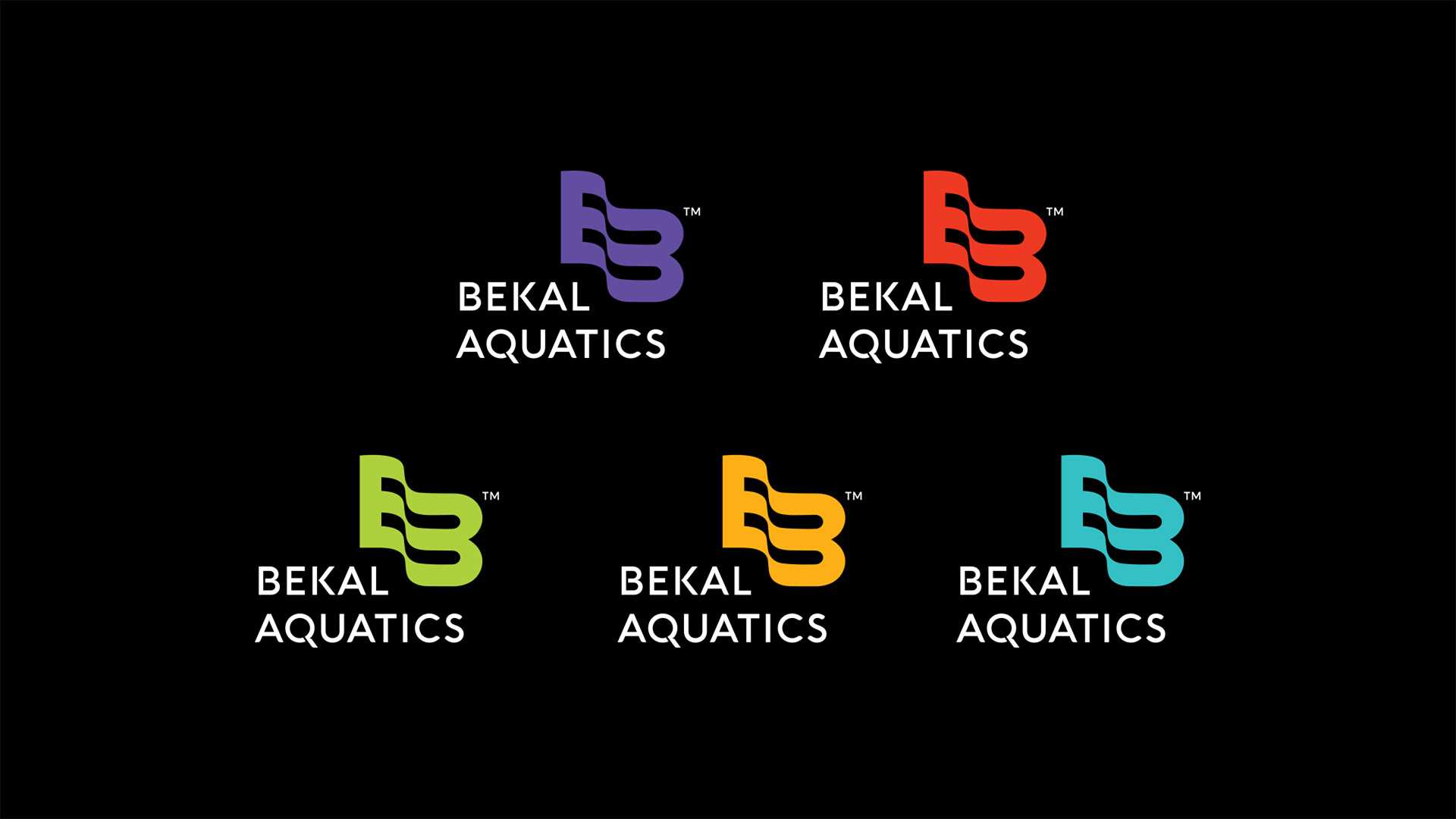 Bekal Aquatics Brand Identity Presentation 6 | WowMakers