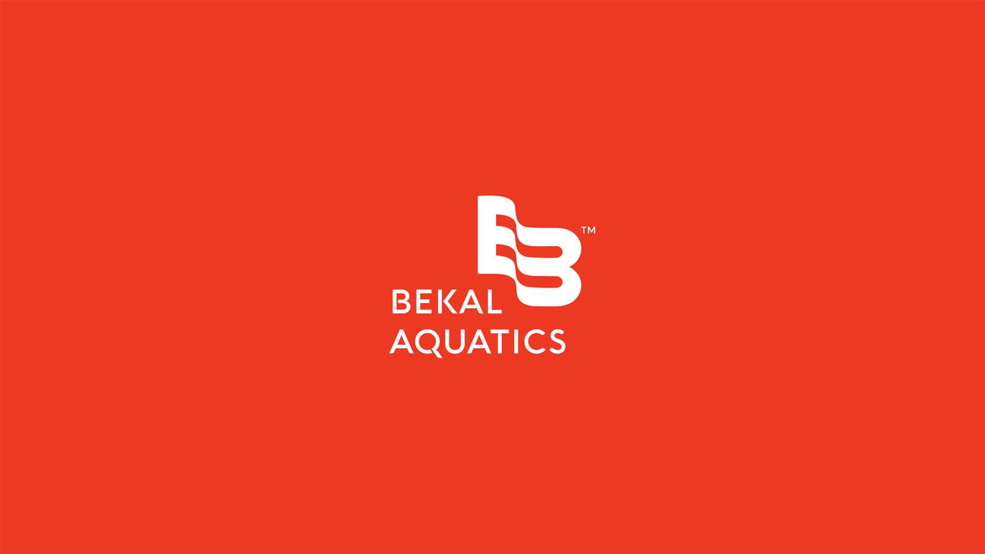 Bekal Aquatics Brand Identity Presentation 4 | WowMakers