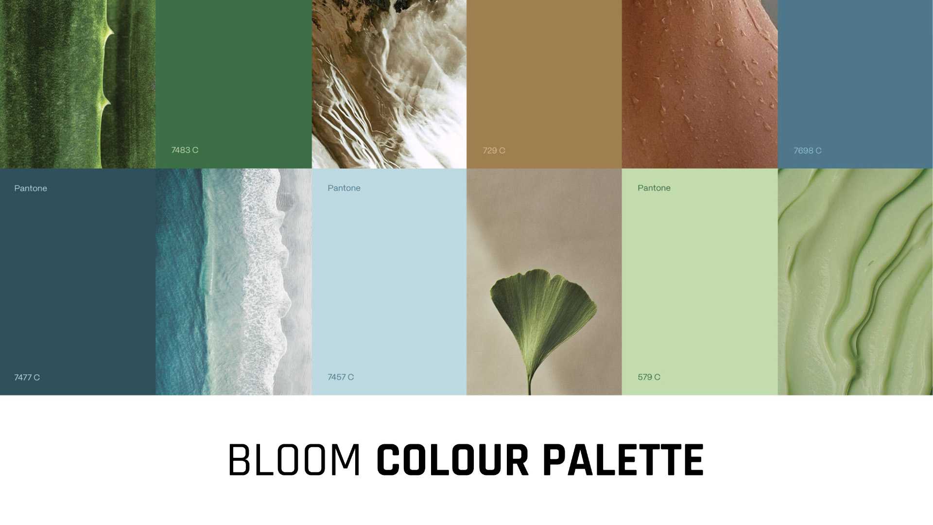 Bloom Botanics Brand Identity Presentation 5 | WowMakers