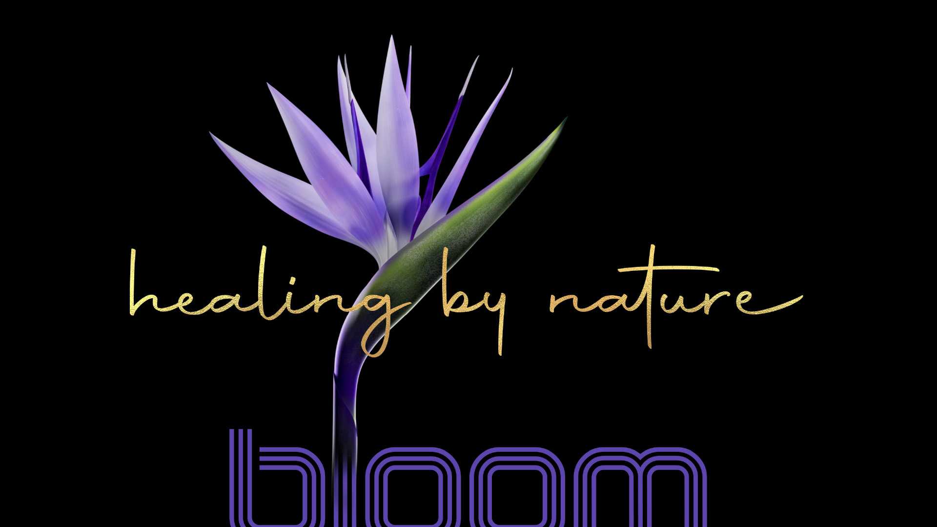 Bloom Botanics Brand Identity Presentation 15 | WowMakers