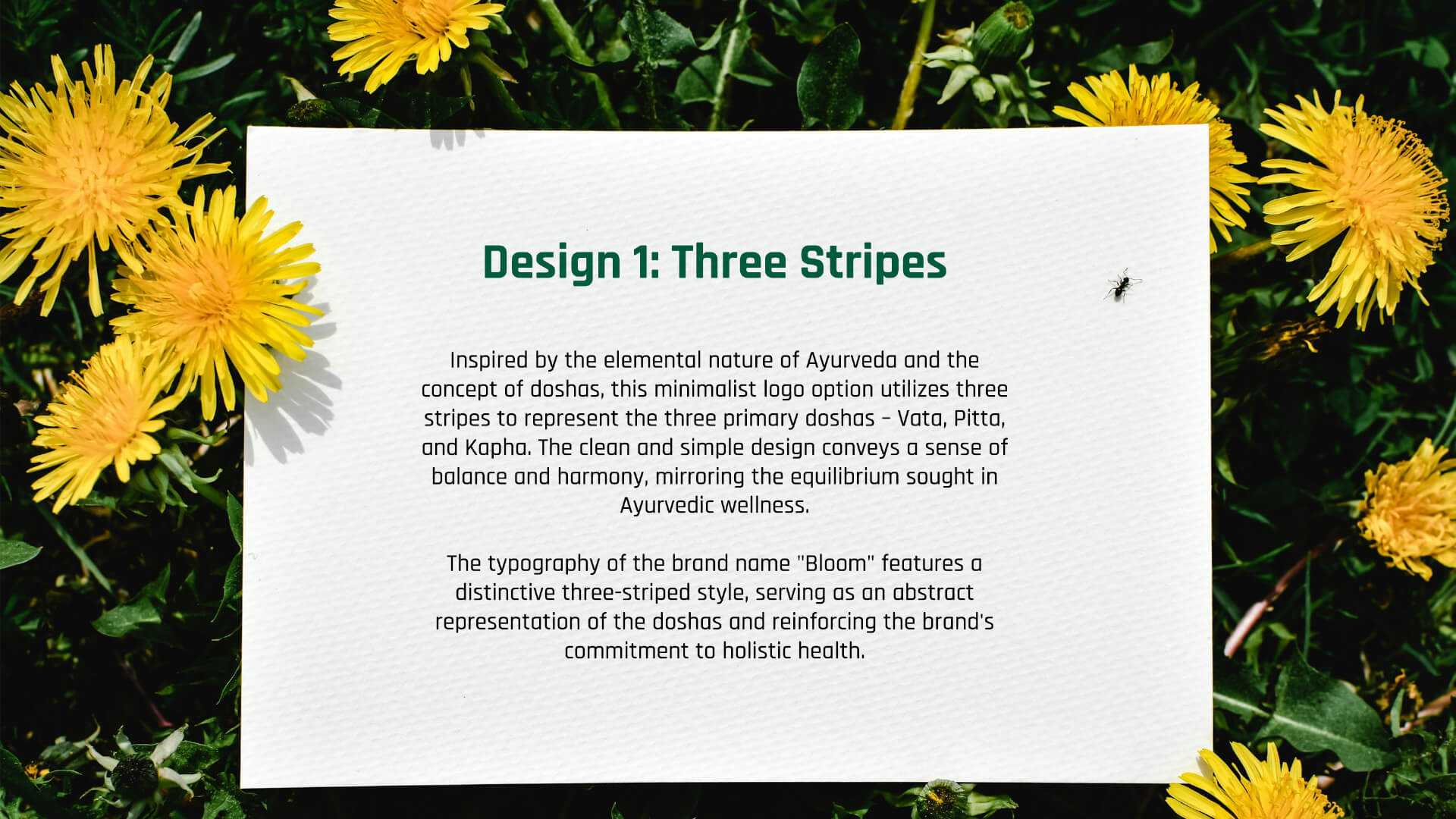 Bloom Botanics Brand Identity Presentation 8 | WowMakers