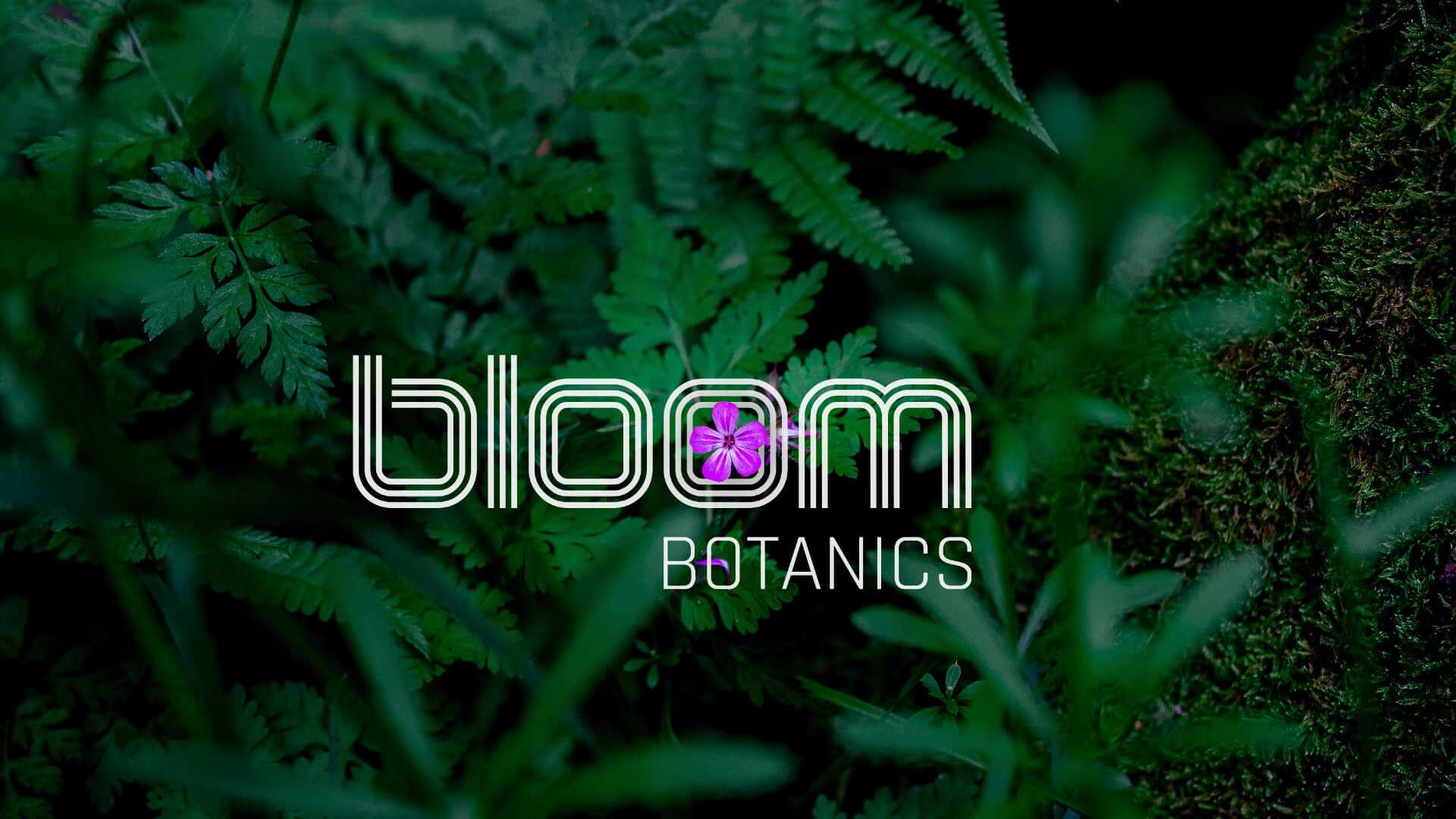 Bloom Botanics Brand Identity Presentation 12 | WowMakers